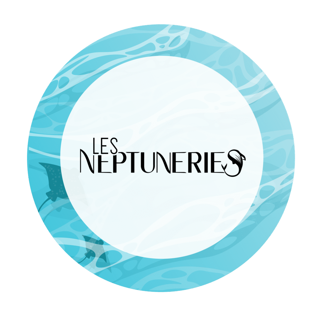 1ère version du logo Les Neptuneries sur fond océanique